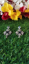 Silver A.D Earrings - Blue Colour